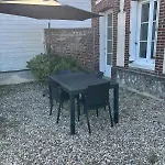 Les Tulipes